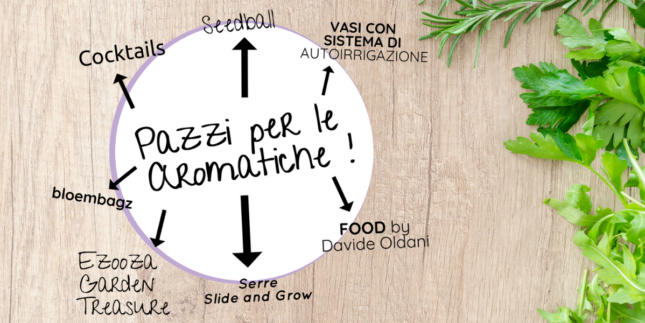 erbe aromatiche pazzi