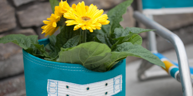 come curare fiori in vasi bloembagz