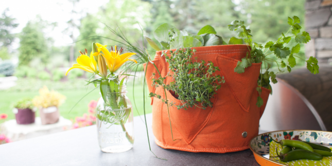 vasi in tessuto bloembagz