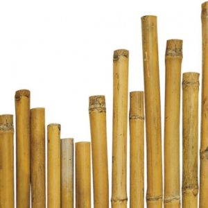 guerrilla gardeners canne di bamboo