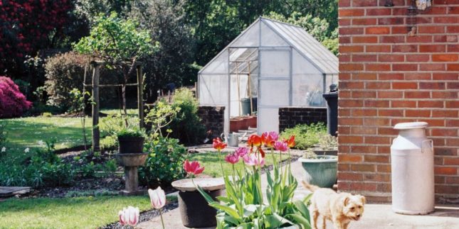 serra da giardino quale scegliere in inverno