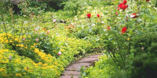 Come funziona la realtà aumentata in giardino