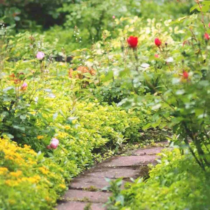 Come funziona la realtà aumentata in giardino