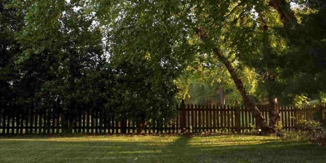 Come tenere in ordine il giardino