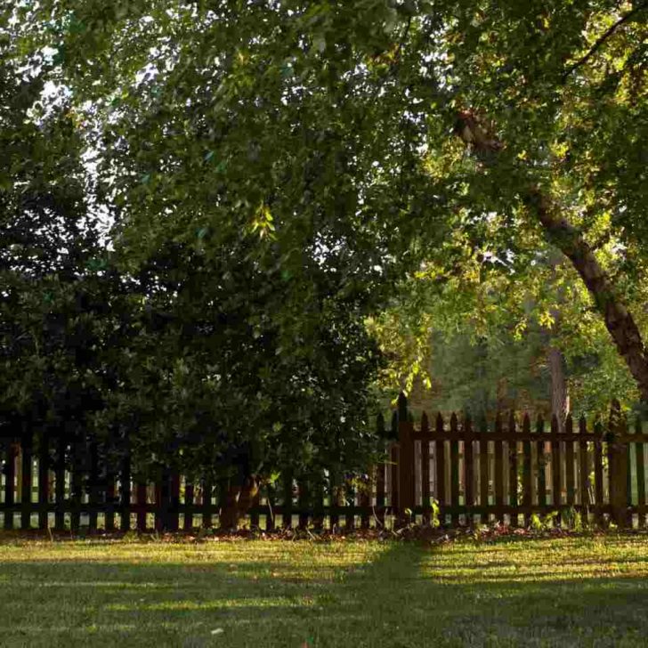 Come tenere in ordine il giardino