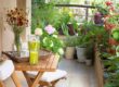Come abbellire un balcone piccolo e creare un'oasi green a casa