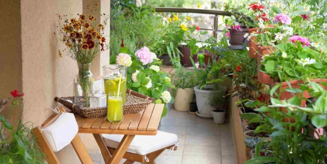 Come abbellire un balcone piccolo e creare un'oasi green a casa